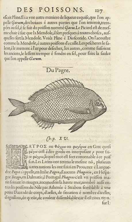 Histoire entiere des Poissons. Compos&amp;eacute;e premierement en Latin par maistre …