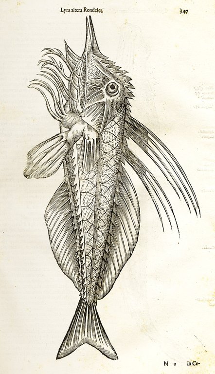 Histoire entiere des Poissons. Compos&amp;eacute;e premierement en Latin par maistre …