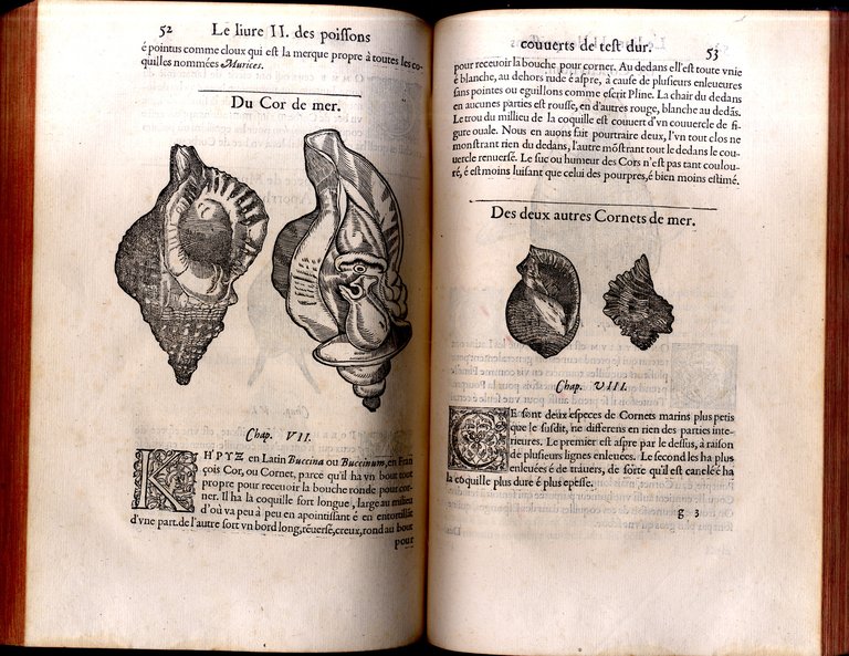 Histoire entiere des Poissons. Compos&amp;eacute;e premierement en Latin par maistre …
