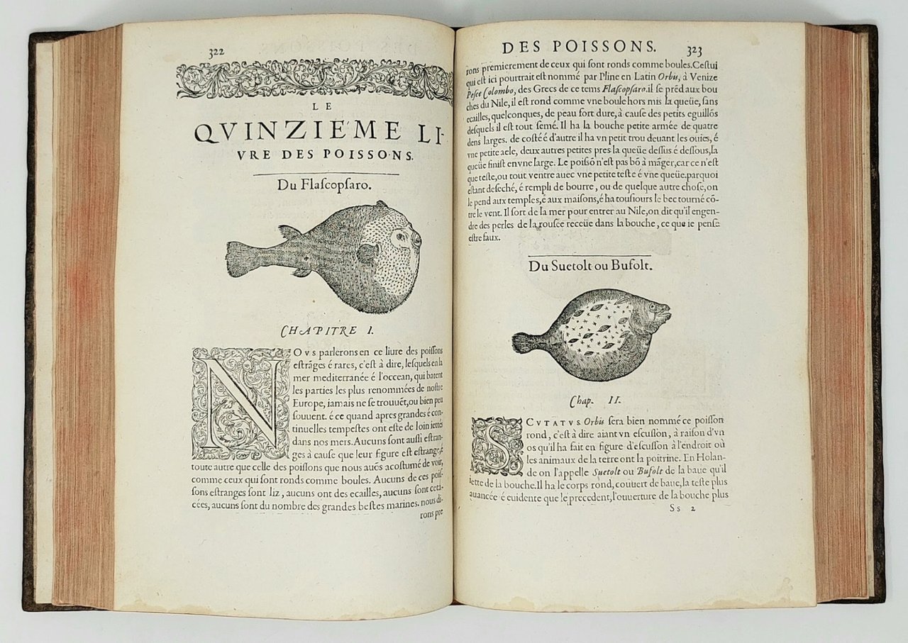 Histoire entiere des Poissons. Compos&amp;eacute;e premierement en Latin par maistre …