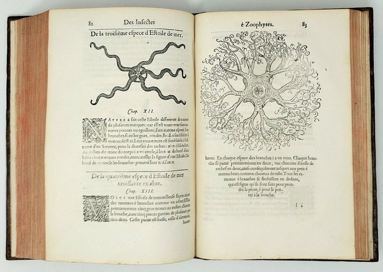 Histoire entiere des Poissons. Compos&amp;eacute;e premierement en Latin par maistre …