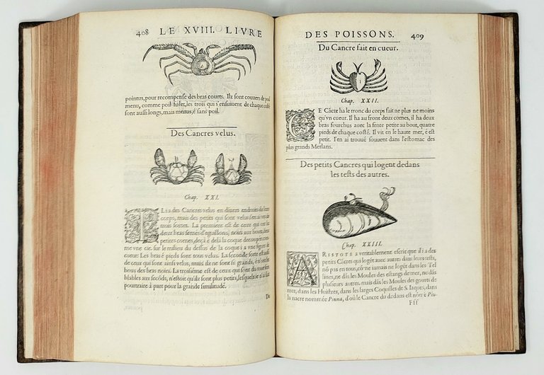 Histoire entiere des Poissons. Compos&amp;eacute;e premierement en Latin par maistre …