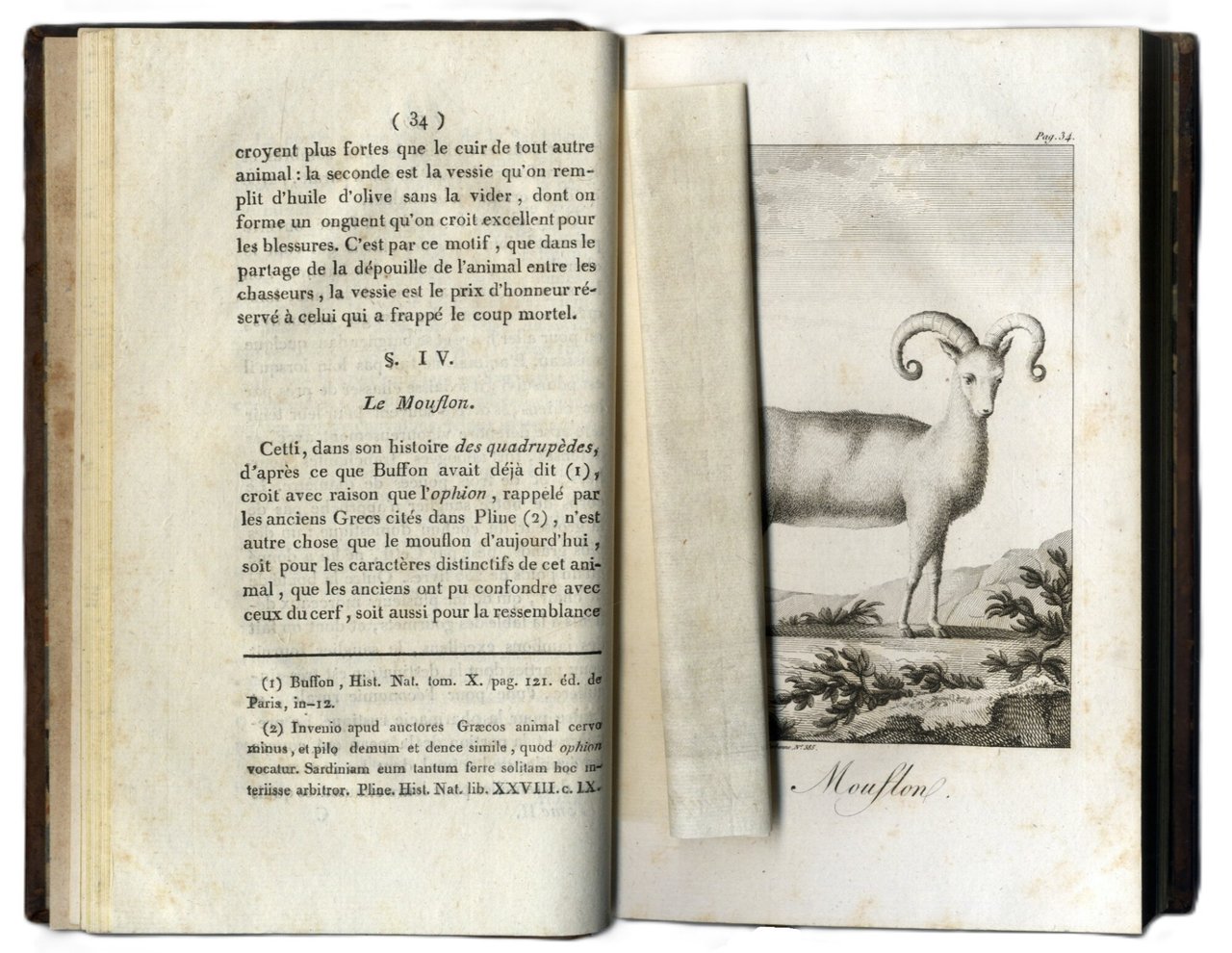 Histoire g&amp;eacute;ographique, politique et naturelle de la Sardaigne