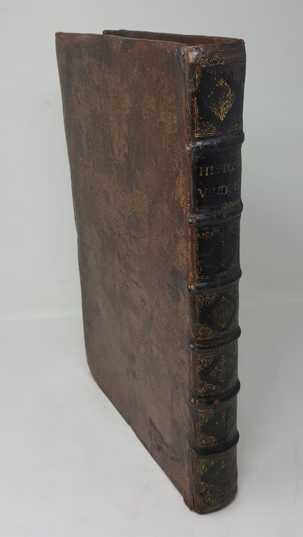 Histoire generale des eglises evangeliques des vallees de Piemont; ou …