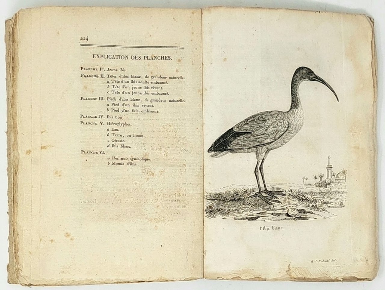 Histoire naturelle et mythologique de l'ibis... Ornée de six planches …