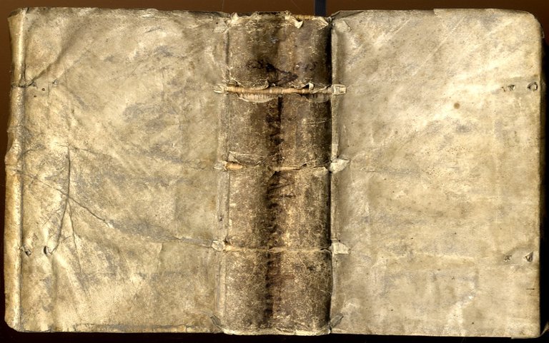 Historia delle guerre esterne de' Romani, tradotta da messer Alessandro …