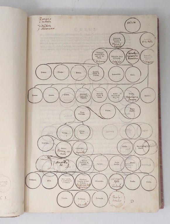 Historia di Casa Orsina.&amp;nbsp;Nella quale oltre all'origine sua, si contengono …