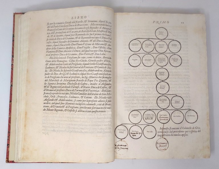 Historia di Casa Orsina.&amp;nbsp;Nella quale oltre all'origine sua, si contengono …