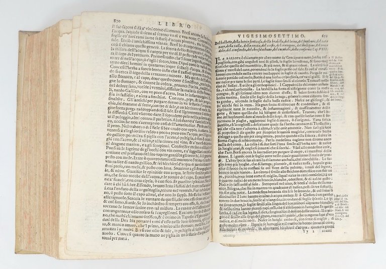 Historia Naturale...tradotta per M. Lodovico Domenichi, con le additioni in …