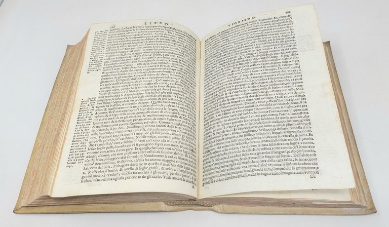 Historia Naturale...tradotta per M. Lodovico Domenichi, con le additioni in …