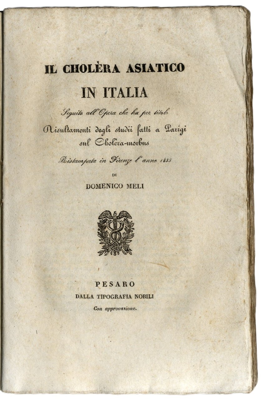 Il cholera asiatico in Italia. Seguito all'opera che ha per … | Immagine principale