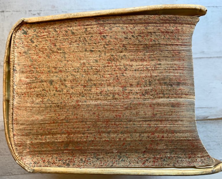 Il Dioscoride dell'eccellente dottor medico M.P. E. Matthioli da Siena.... … | Immagine Gallery 7