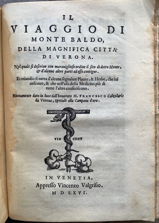 Il Dioscoride dell'eccellente dottor medico M.P. E. Matthioli da Siena.... … | Immagine Gallery 9