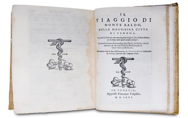 Il Dioscoride dell'eccellente dottor medico M.P. E. Matthioli da Siena.... … | Immagine Gallery 3