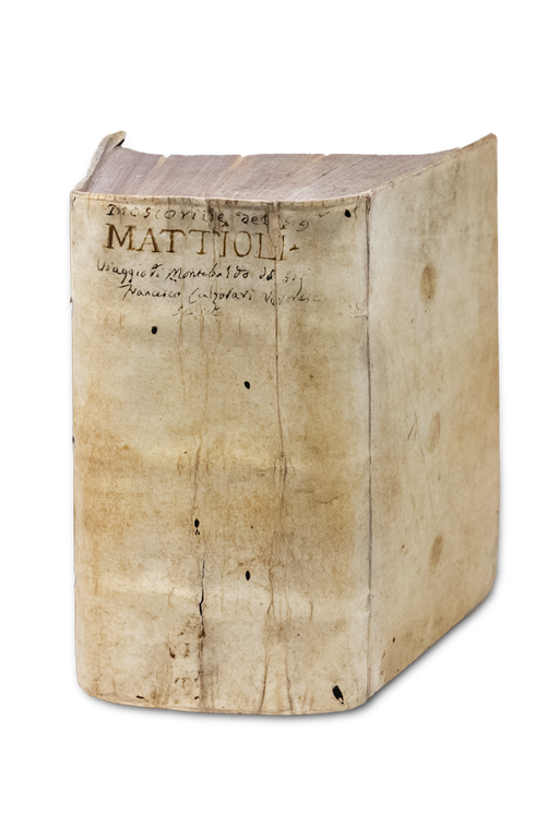 Il Dioscoride dell'eccellente dottor medico M.P. E. Matthioli da Siena.... … | Immagine Gallery 5