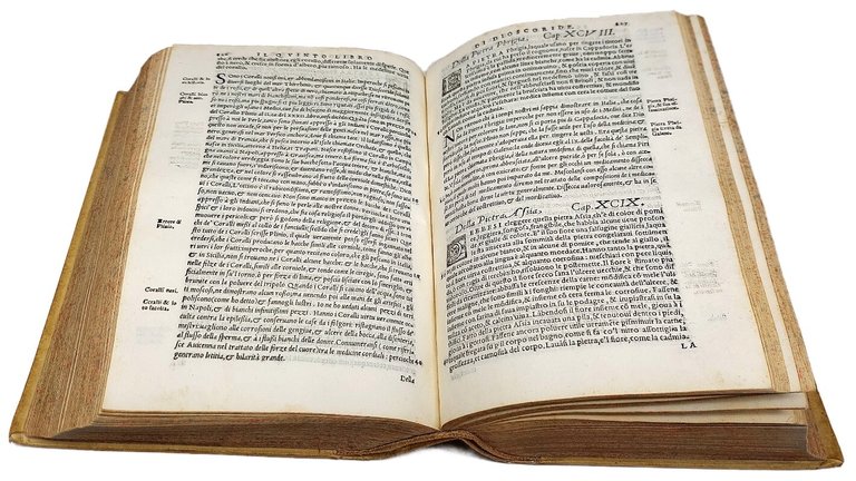 Il Dioscoride dell'eccellente dottor medico M.P. E. Matthioli da Siena.... … | Immagine Gallery 6