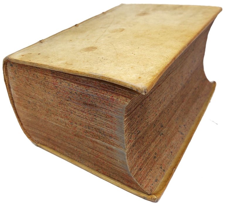 Il Dioscoride dell'eccellente dottor medico M.P. E. Matthioli da Siena.... … | Immagine Gallery 10