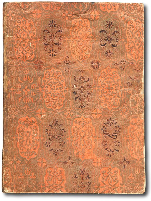 Il pappagallo contrastato.