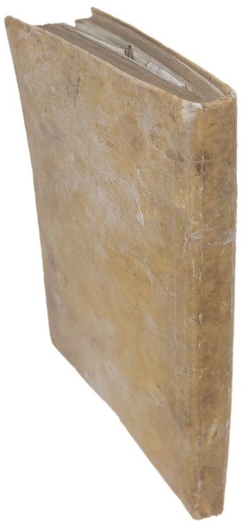 Il trionfo di San Gaudenzio primo vescovo e protettore dell'inclita …