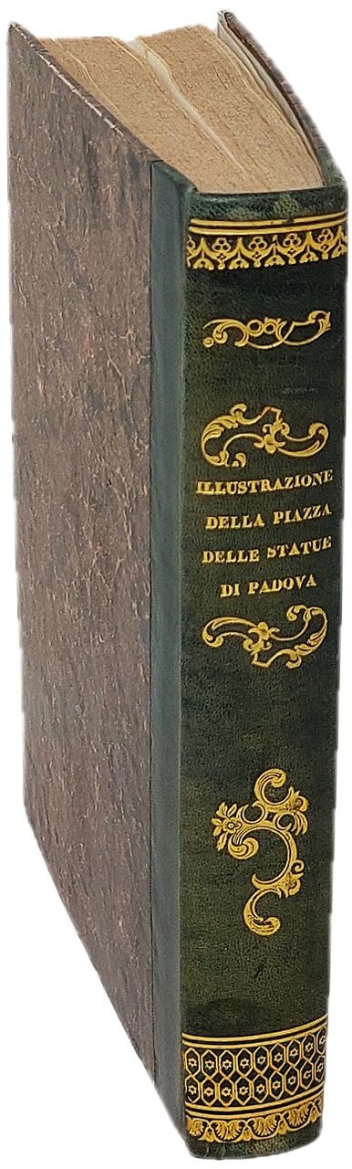 Illustrazione del Prato della Valle ossia della Piazza della Salute …