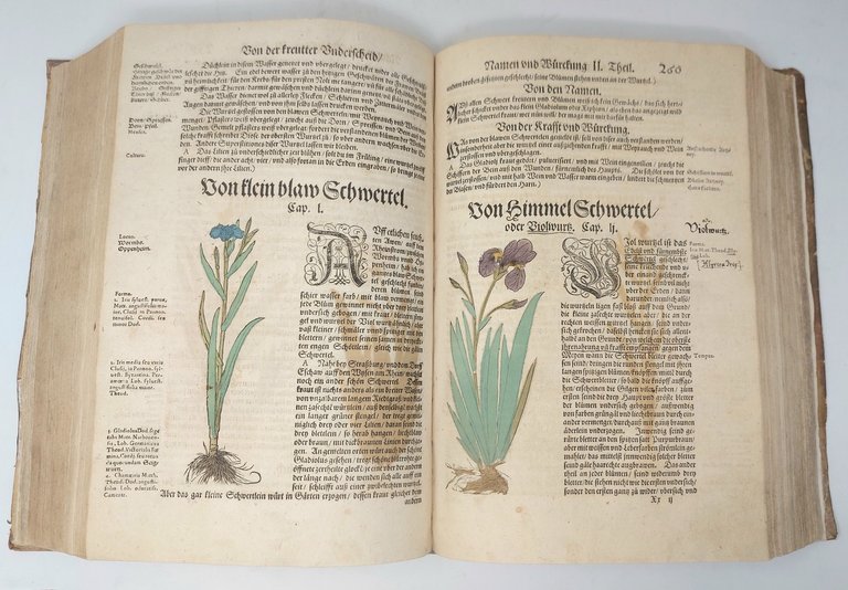 Kre&amp;uuml;tterbuch ... Item von den vier Elementen, zamen und wilden …