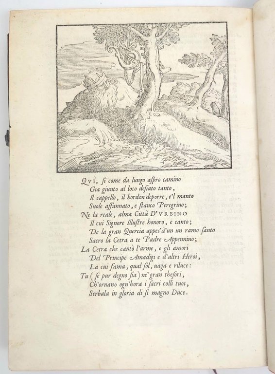 L'Amadigi del S. Bernardo Tasso. A l'invittissimo e catolico re …