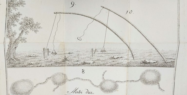 L'arte del talpista o metodo dilettevole ed infallibile di prendere …