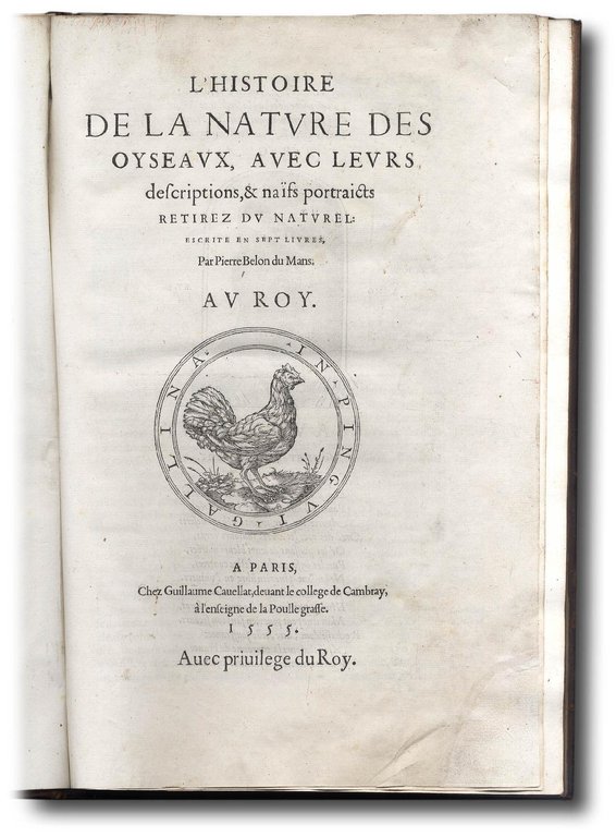 L'histoire de la nature des oyseaux, avec leurs descriptions, & …