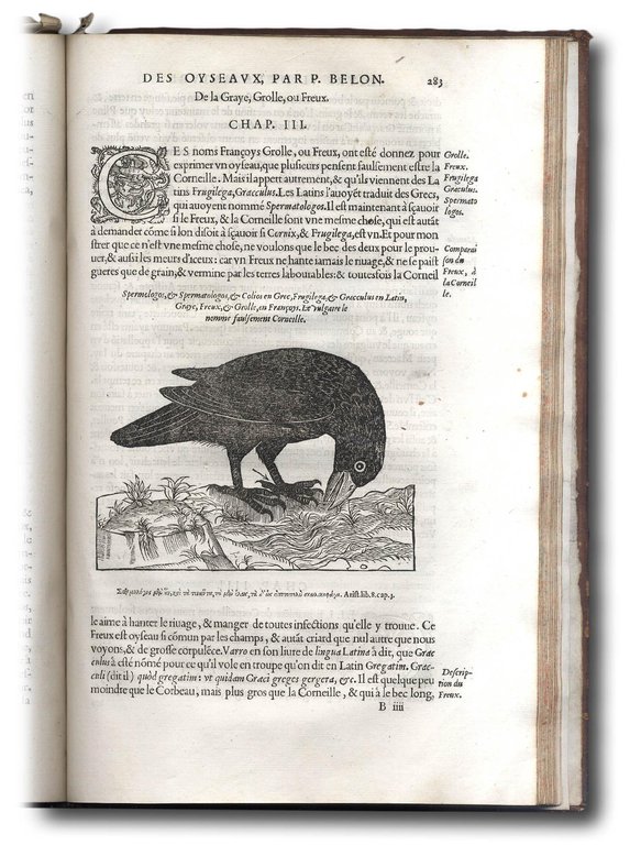 L'histoire de la nature des oyseaux, avec leurs descriptions, & …