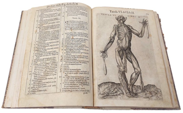 La Anatomia del corpo umano.