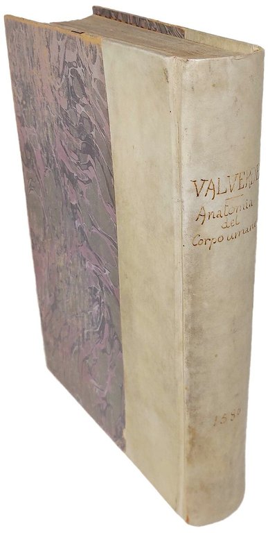 La Anatomia del corpo umano.