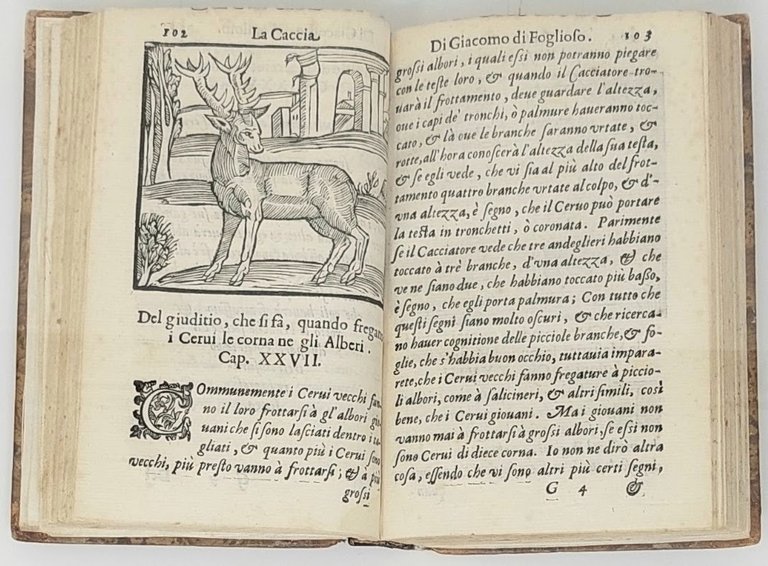 La Caccia di Giacomo di Foglioso scudiero e signore di …