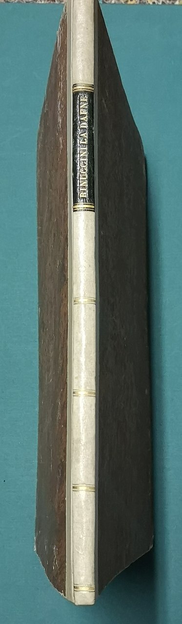 La Dafne. Nuovamente stampata in occasione delle nozze del Marchese …