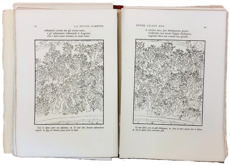 La Divine Com&amp;eacute;die - La Divina Commedia (testo francese e …