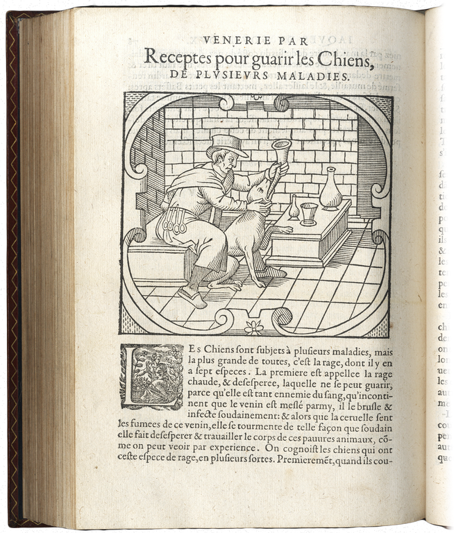 La Fauconnerie de Iean de Franchieres, grand prieur d'Aquitaine, avec …