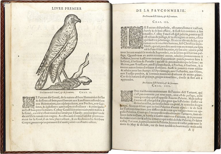La Fauconnerie de Iean de Franchieres, grand prieur d'Aquitaine, avec …