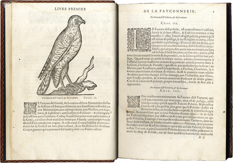 La Fauconnerie de Iean de Franchieres, grand prieur d'Aquitaine, avec …