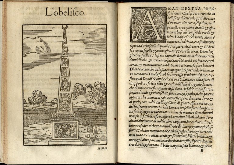La Magnifica et Triumphale Entrata del Christianiss. Re di Francia …