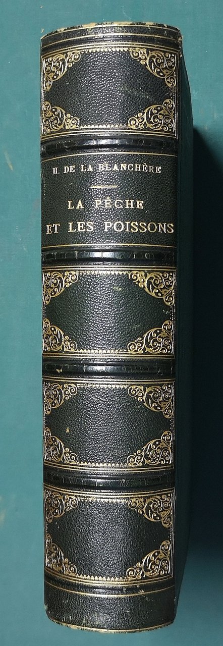 La p&amp;ecirc;che et les poissons. Nouveau Dictionnaire g&amp;eacute;n&amp;eacute;ral des p&amp;ecirc;ches.