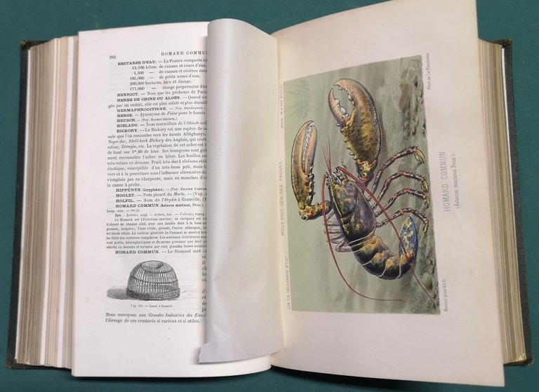 La p&amp;ecirc;che et les poissons. Nouveau Dictionnaire g&amp;eacute;n&amp;eacute;ral des p&amp;ecirc;ches.