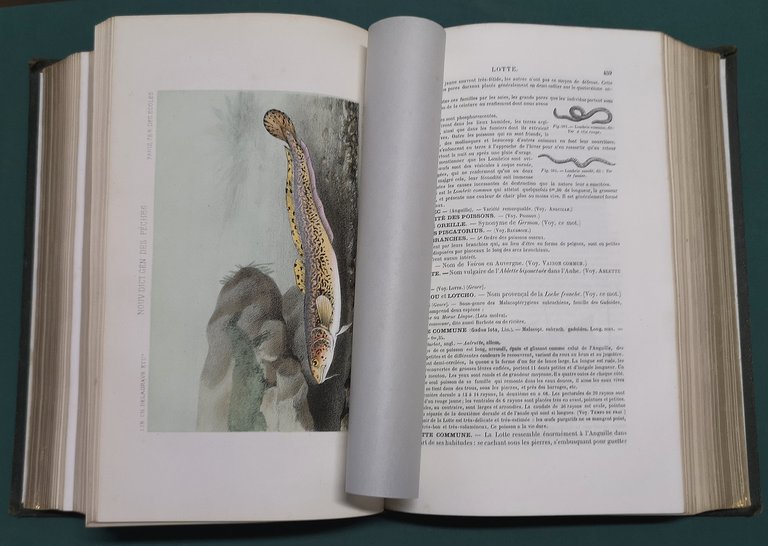 La p&amp;ecirc;che et les poissons. Nouveau Dictionnaire g&amp;eacute;n&amp;eacute;ral des p&amp;ecirc;ches.