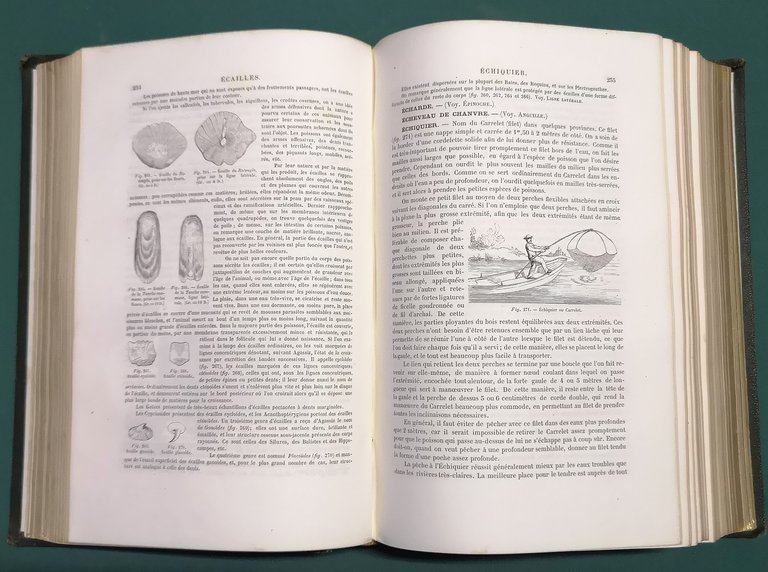 La p&amp;ecirc;che et les poissons. Nouveau Dictionnaire g&amp;eacute;n&amp;eacute;ral des p&amp;ecirc;ches.