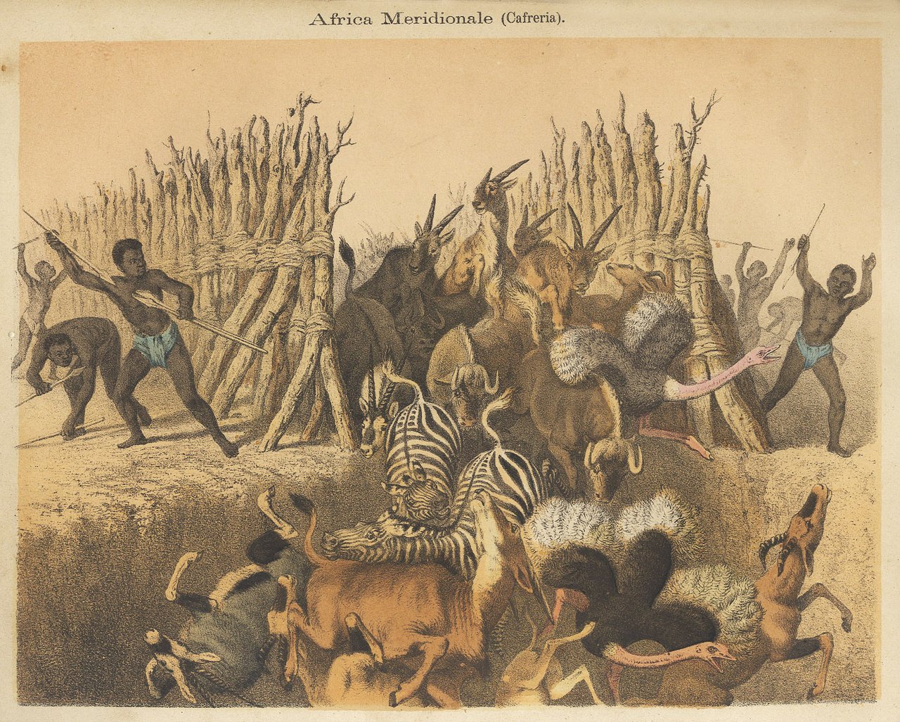 La terra illustrata.