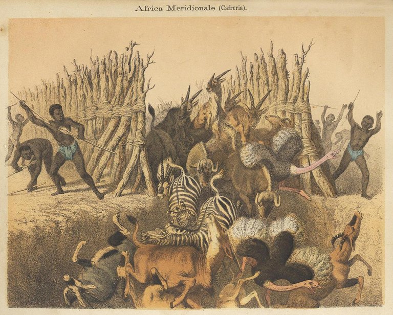 La terra illustrata.