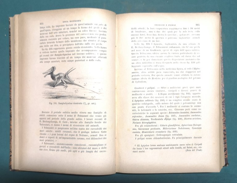 La terra prima del diluvio. Opera illustrata da 25 vedute …