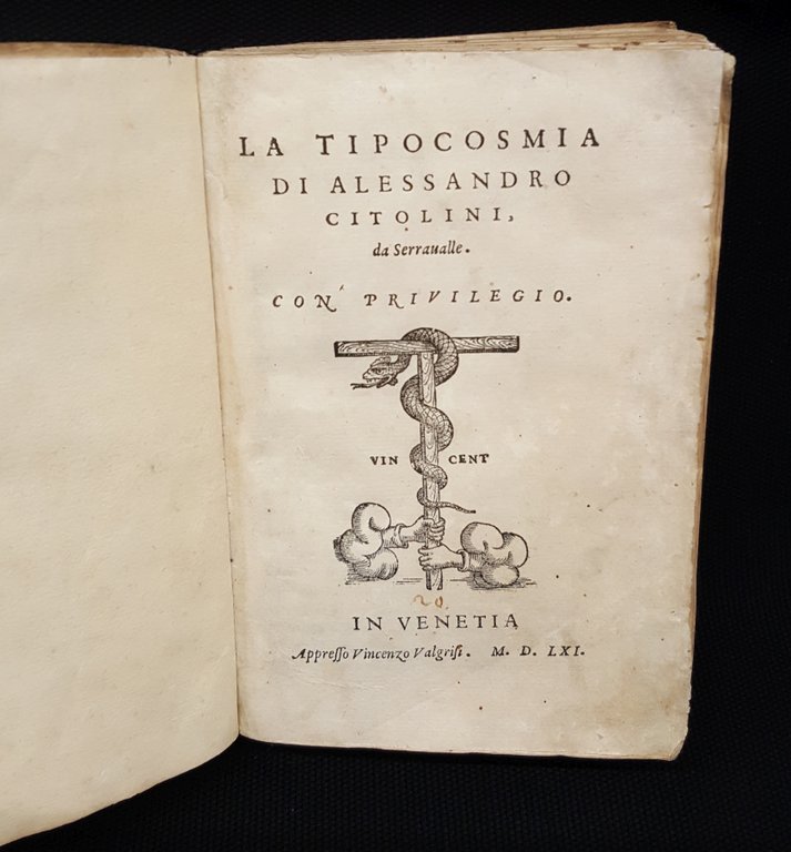 La Tipocosmia.
