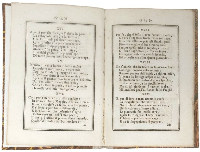 Le fragole poemetto.