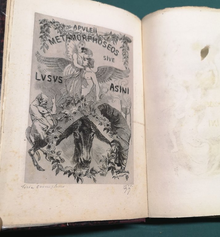 Les Métamorphoses ou L'Asne d'or.