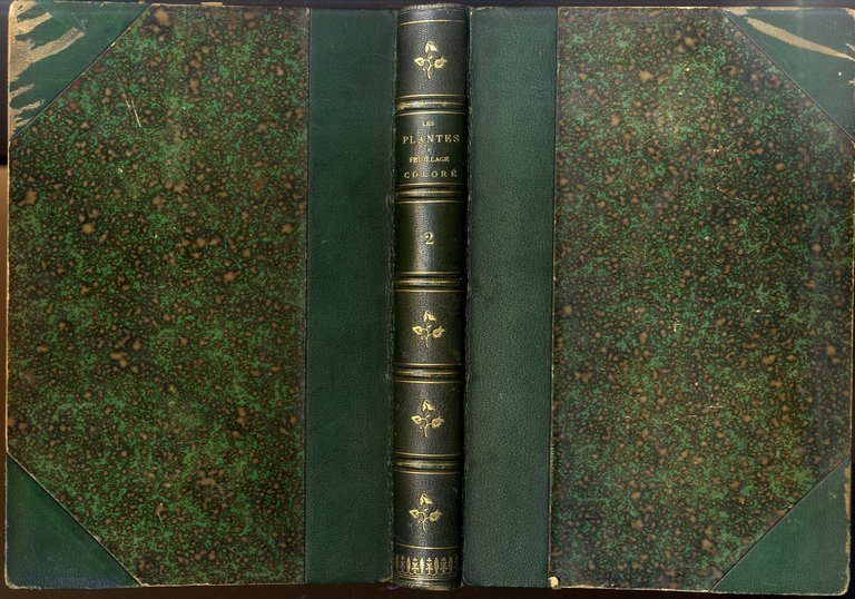 Les Plantes &amp;agrave; Feuillage Color&amp;eacute;. Histoire, D&amp;eacute;scription, Culture, Emploi, des …