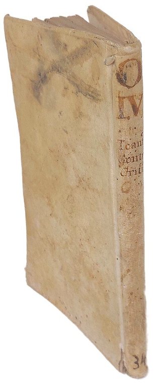 Lettere contro-critiche scritte dal suo ritiro da Godefrisio Toante ad …